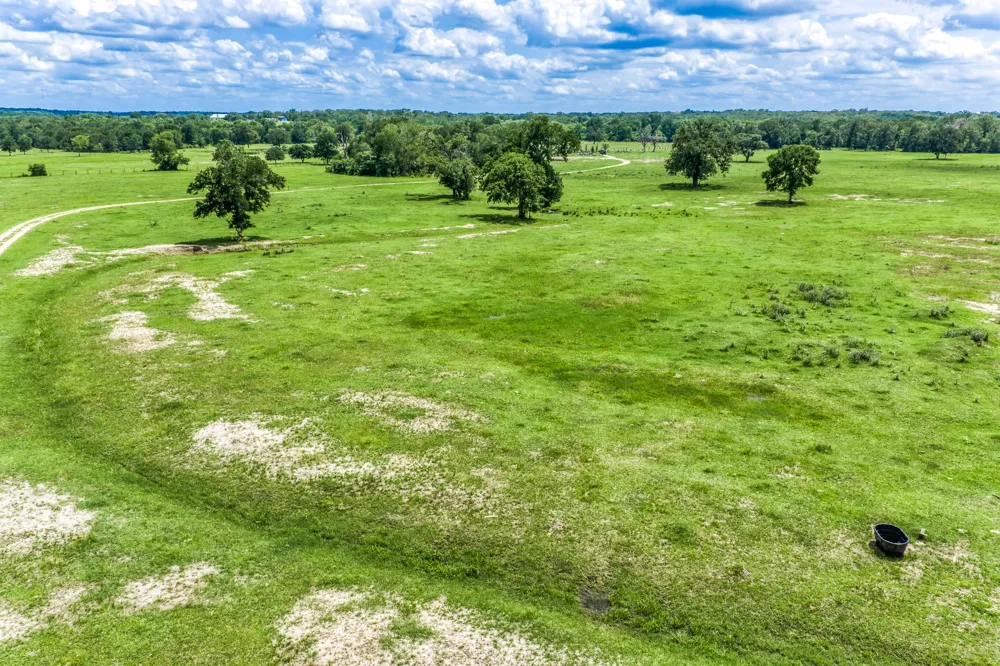 237 HWY 36 S Caldwell, TX 77836