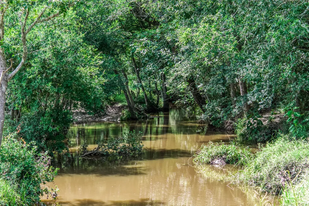 237 HWY 36 S Caldwell, TX 77836