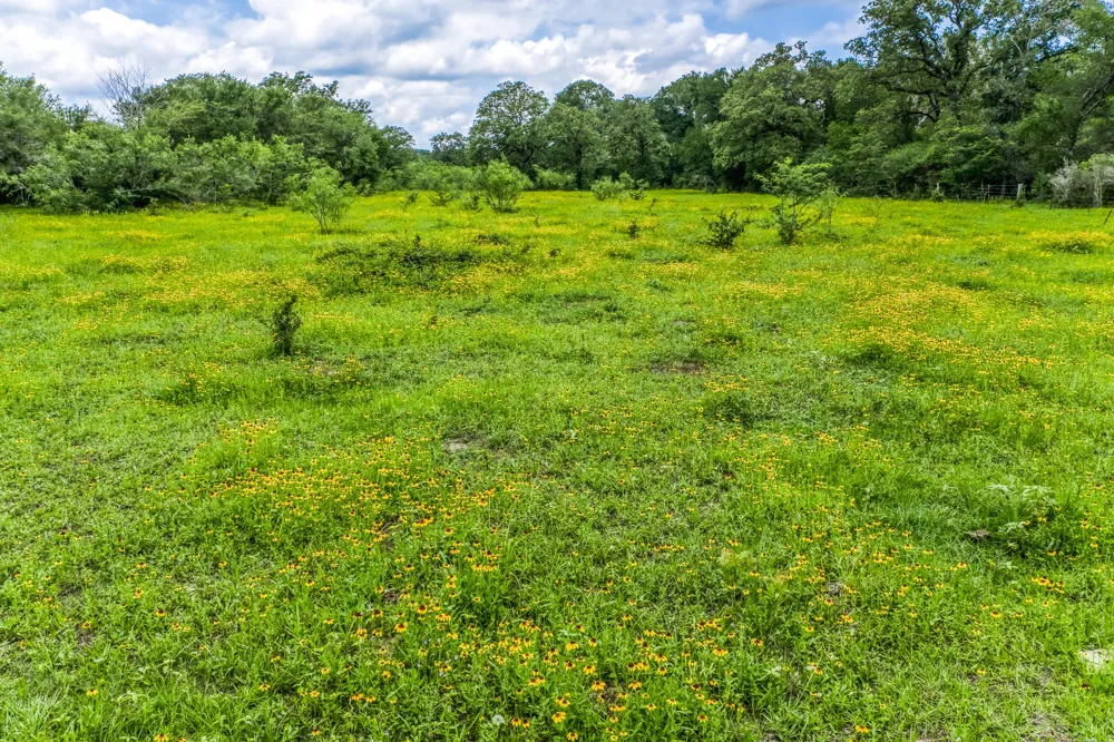 237 HWY 36 S Caldwell, TX 77836