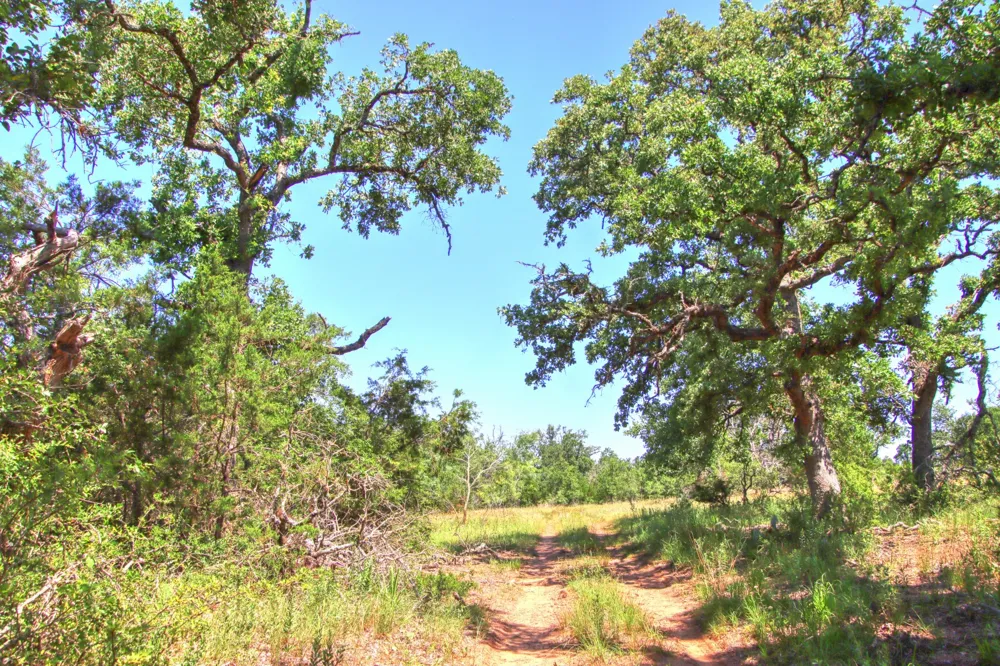6 RM 1323 Willow City, TX 78675