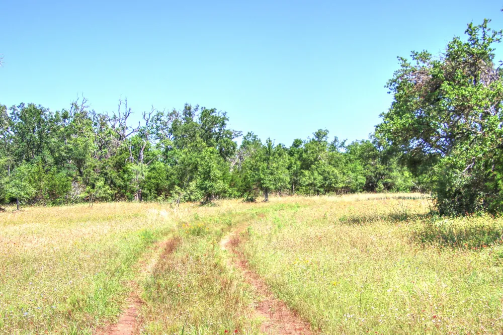 6 RM 1323 Willow City, TX 78675