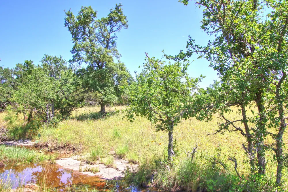 6 RM 1323 Willow City, TX 78675