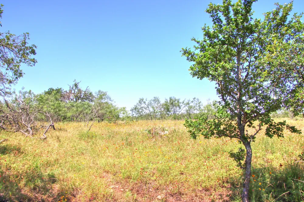 6 RM 1323 Willow City, TX 78675
