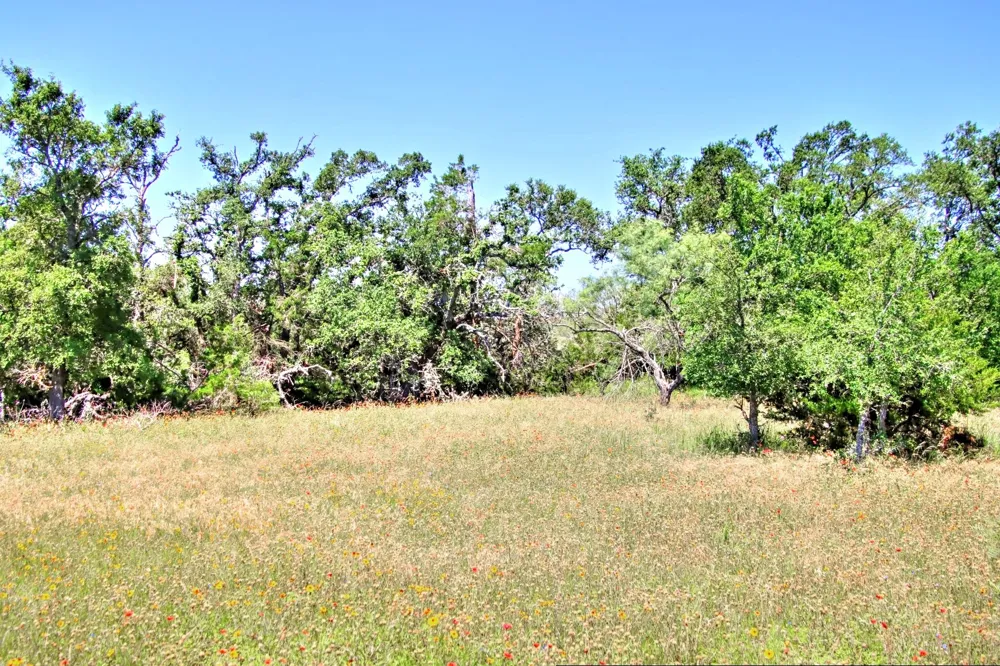6 RM 1323 Willow City, TX 78675