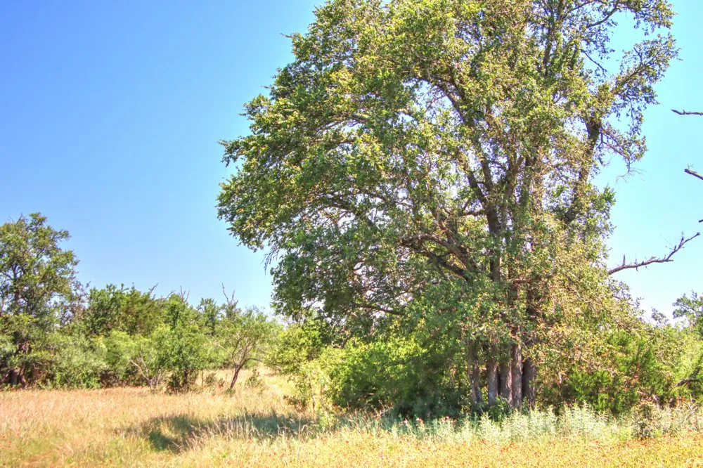6 RM 1323 Willow City, TX 78675