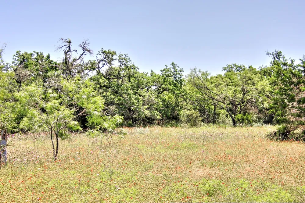6 RM 1323 Willow City, TX 78675
