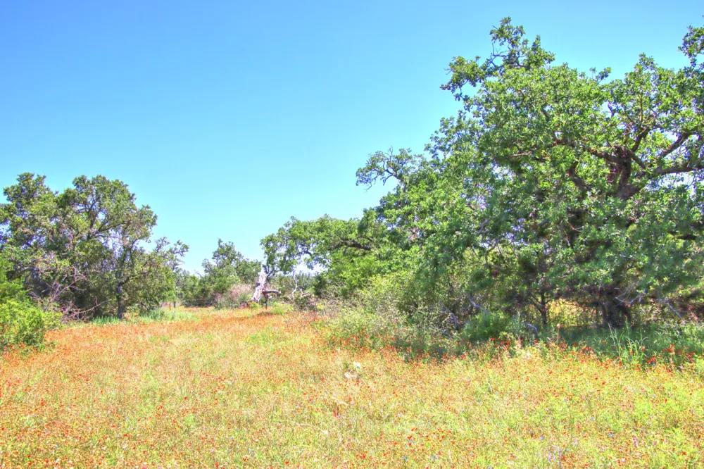 6 RM 1323 Willow City, TX 78675