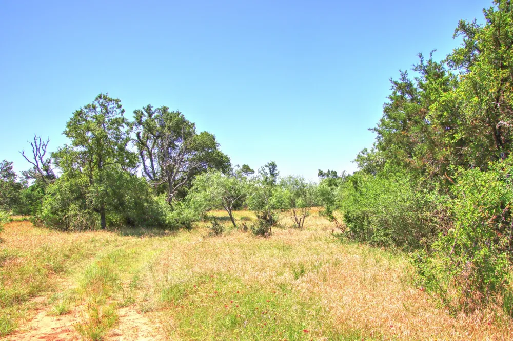6 RM 1323 Willow City, TX 78675