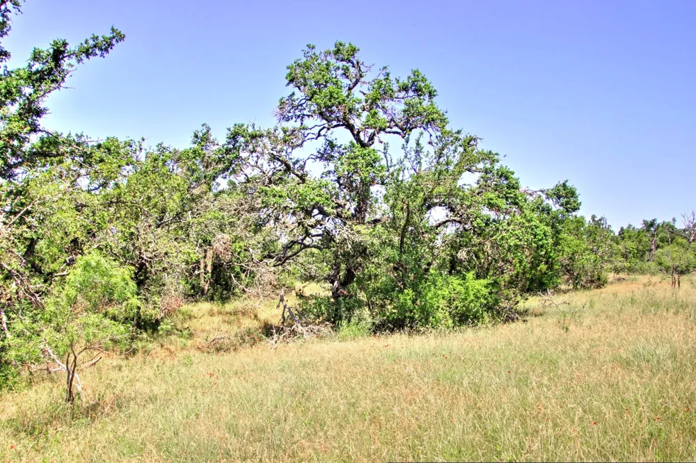 6 RM 1323 Willow City, TX 78675