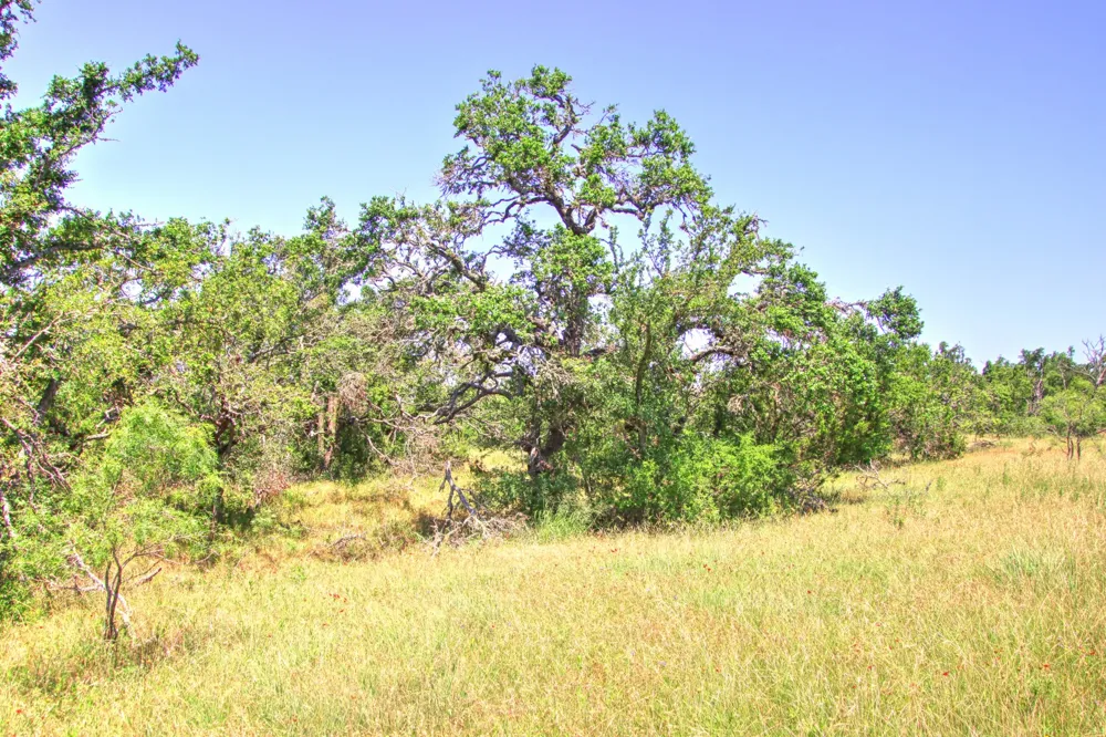 6 RM 1323 Willow City, TX 78675