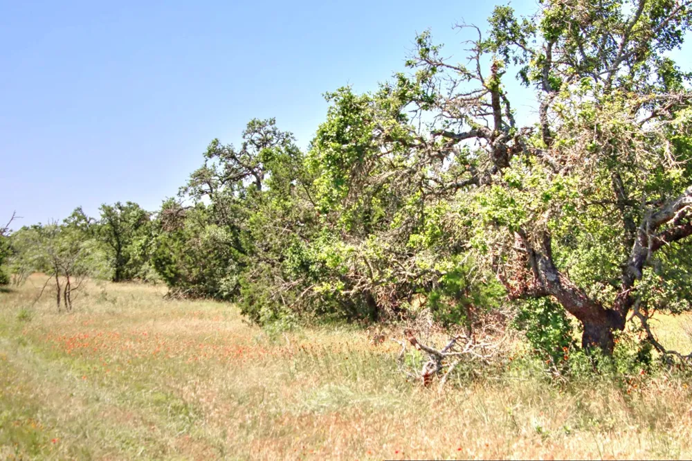 6 RM 1323 Willow City, TX 78675