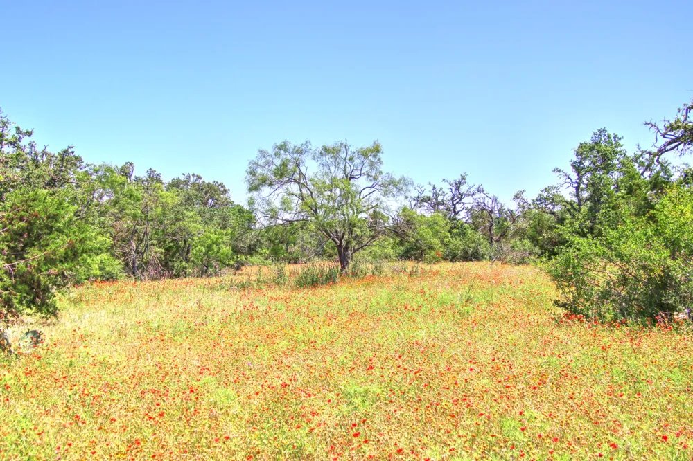 6 RM 1323 Willow City, TX 78675