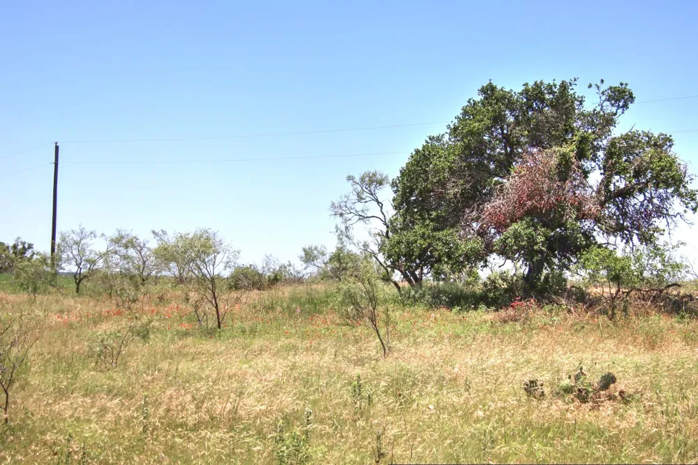 6 RM 1323 Willow City, TX 78675