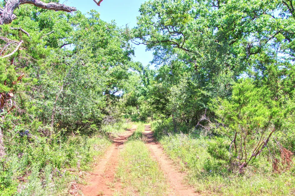 6 RM 1323 Willow City, TX 78675