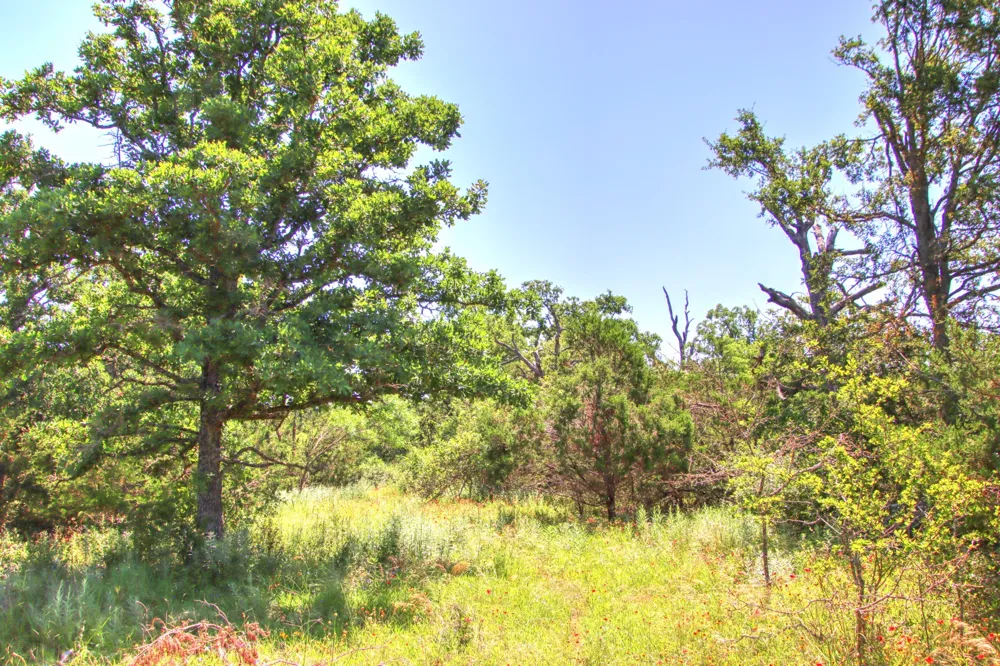 6 RM 1323 Willow City, TX 78675