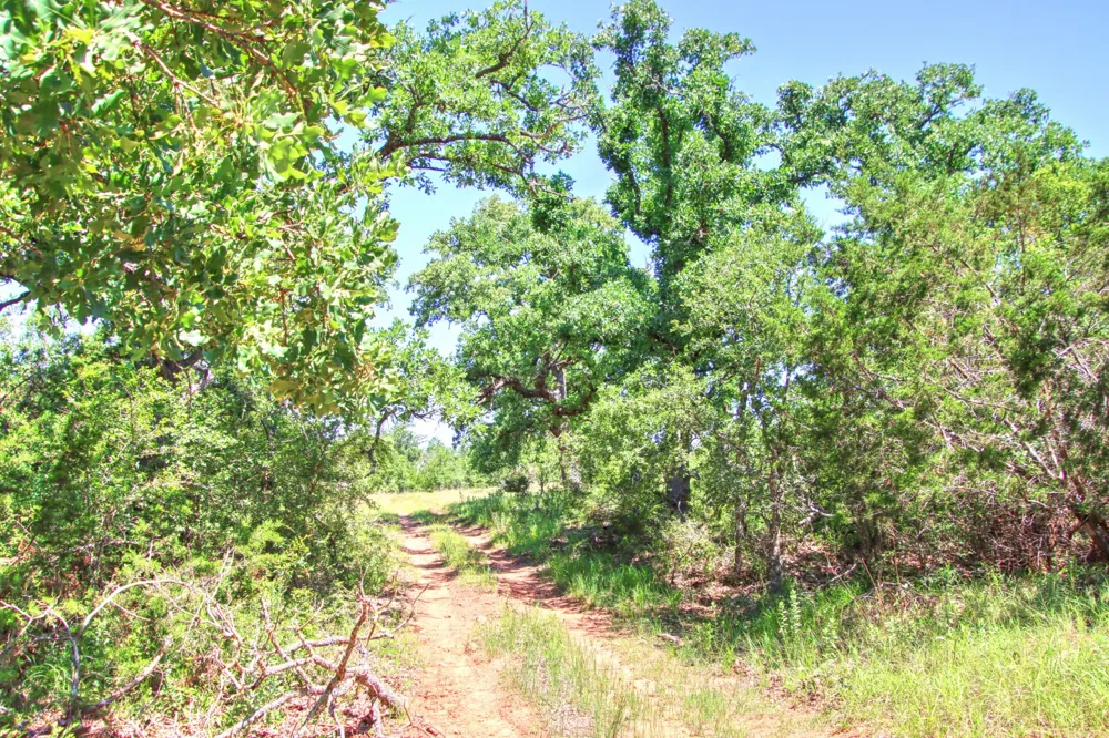 6 RM 1323 Willow City, TX 78675