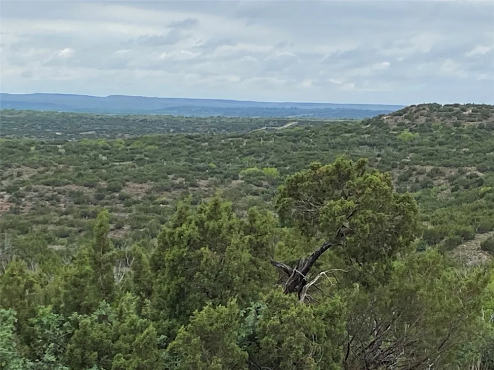 906 CR 235 Aspermont, TX 79502