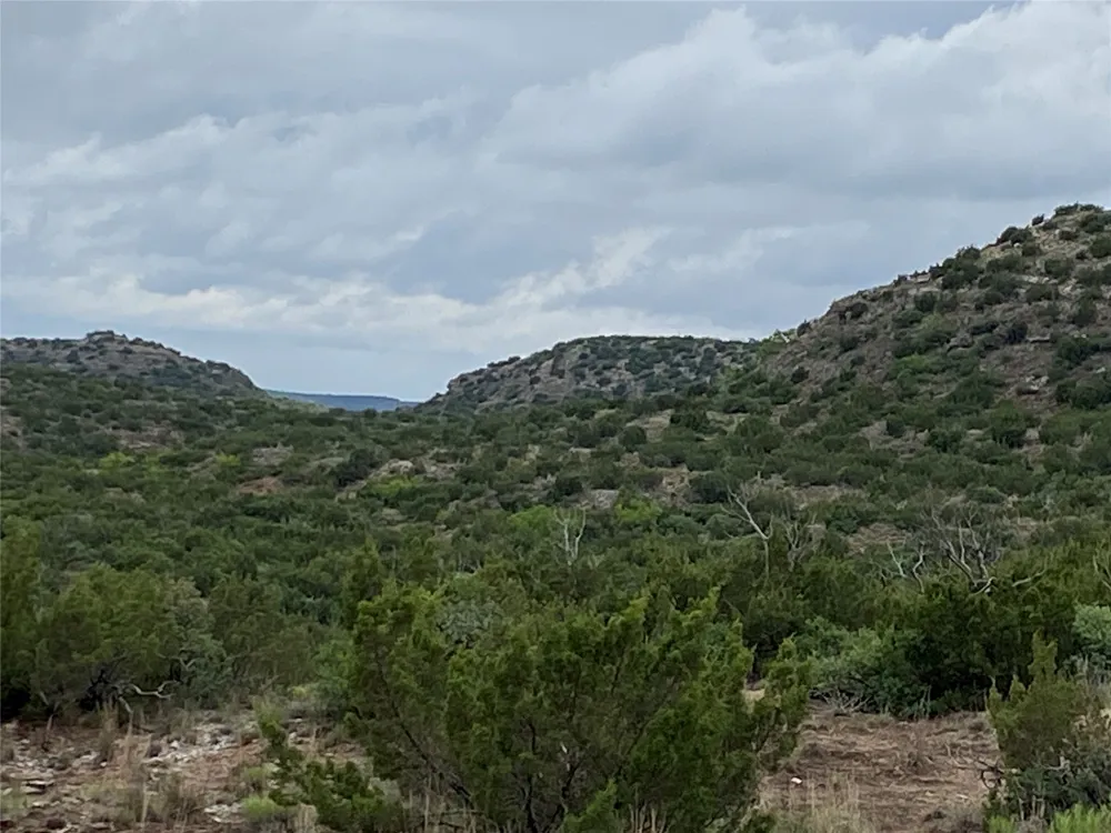 906 CR 235 Aspermont, TX 79502