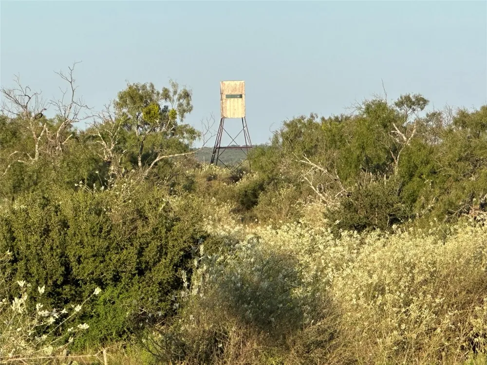 2976 Lower Willow Creek Road Mason, TX 76820