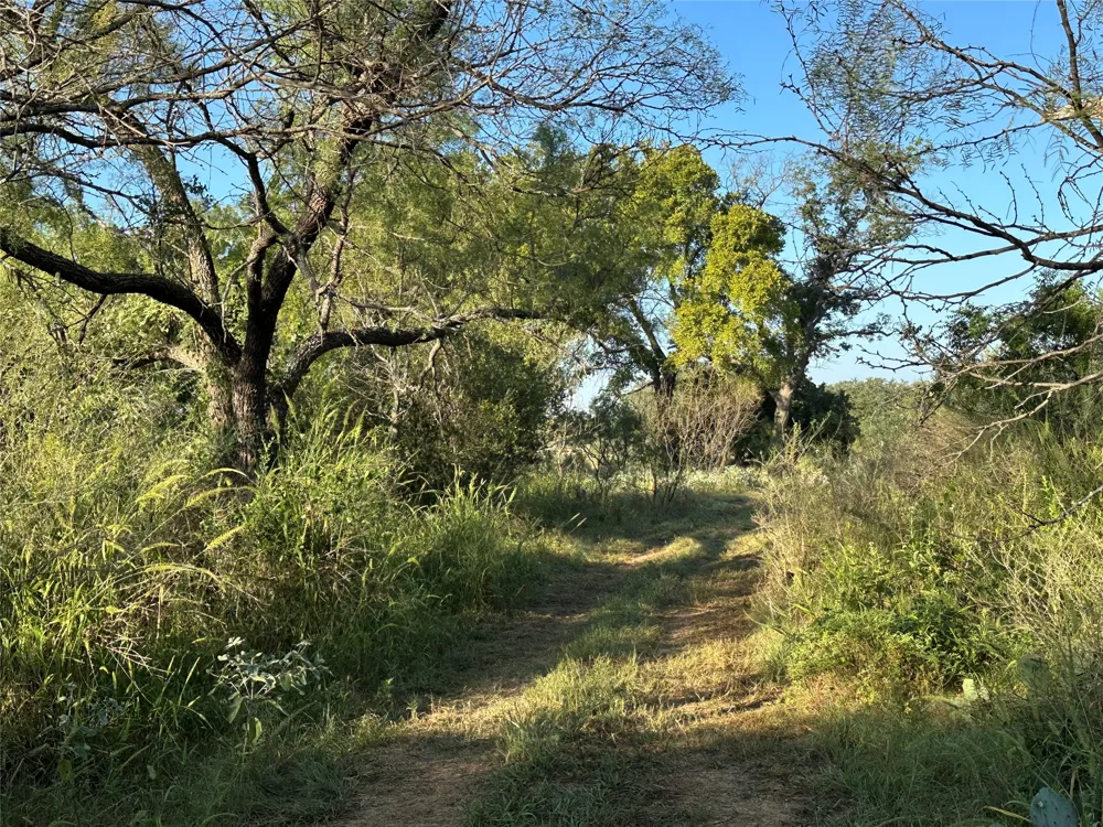 2976 Lower Willow Creek Road Mason, TX 76820