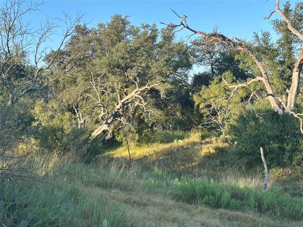 2976 Lower Willow Creek Road Mason, TX 76820