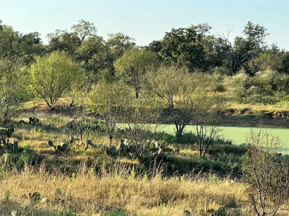 2976 Lower Willow Creek Road Mason, TX 76820