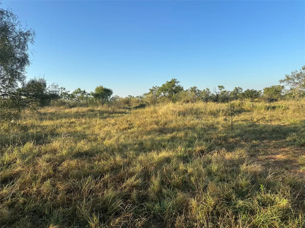 2976 Lower Willow Creek Road Mason, TX 76820