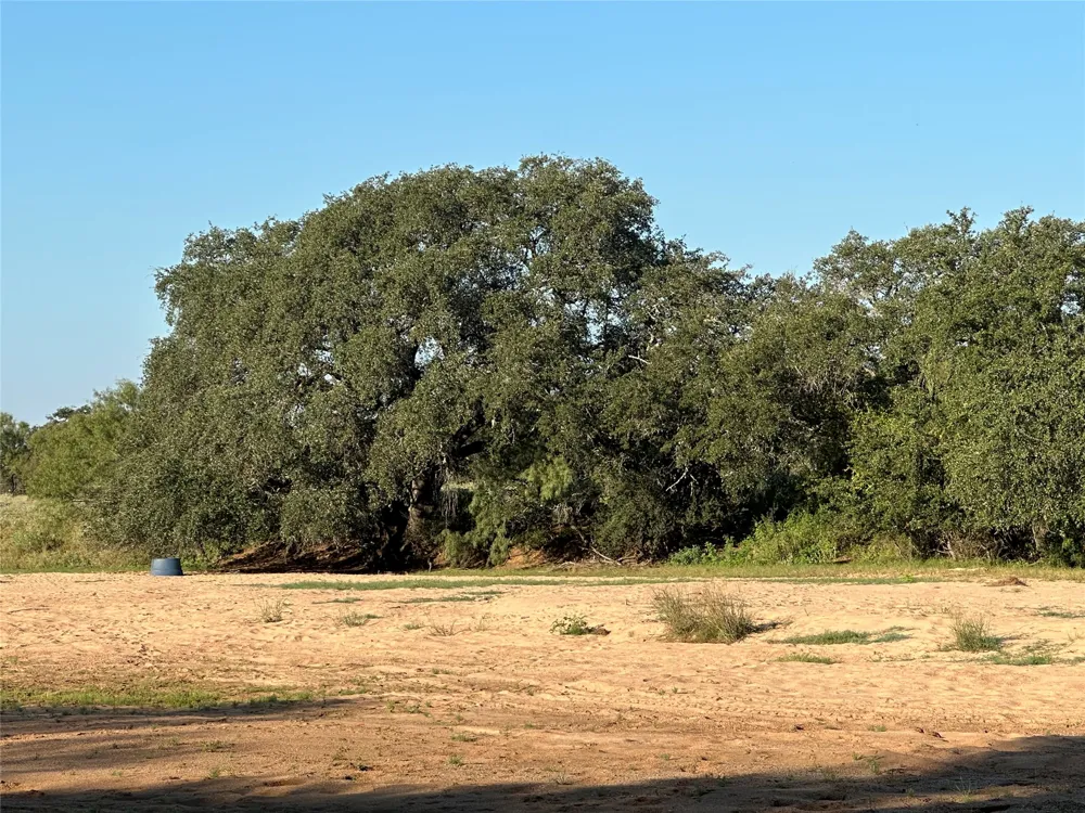 2976 Lower Willow Creek Road Mason, TX 76820
