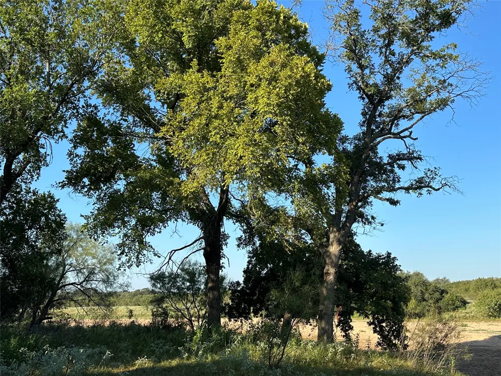 2976 Lower Willow Creek Road Mason, TX 76820