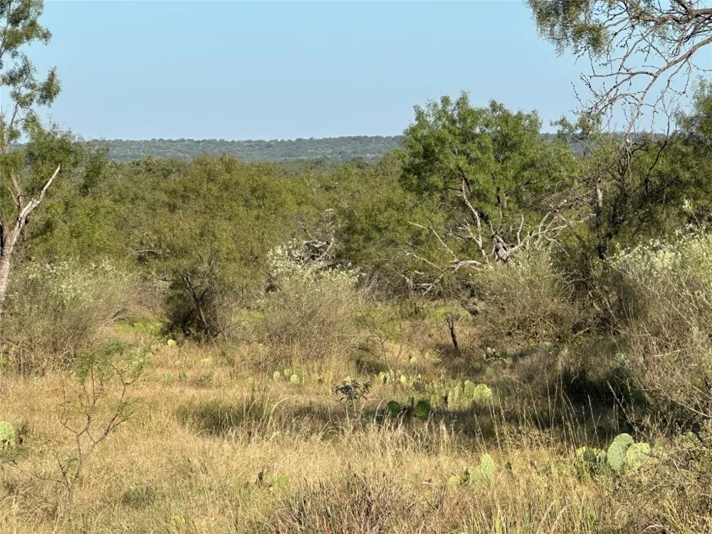 2976 Lower Willow Creek Road Mason, TX 76820