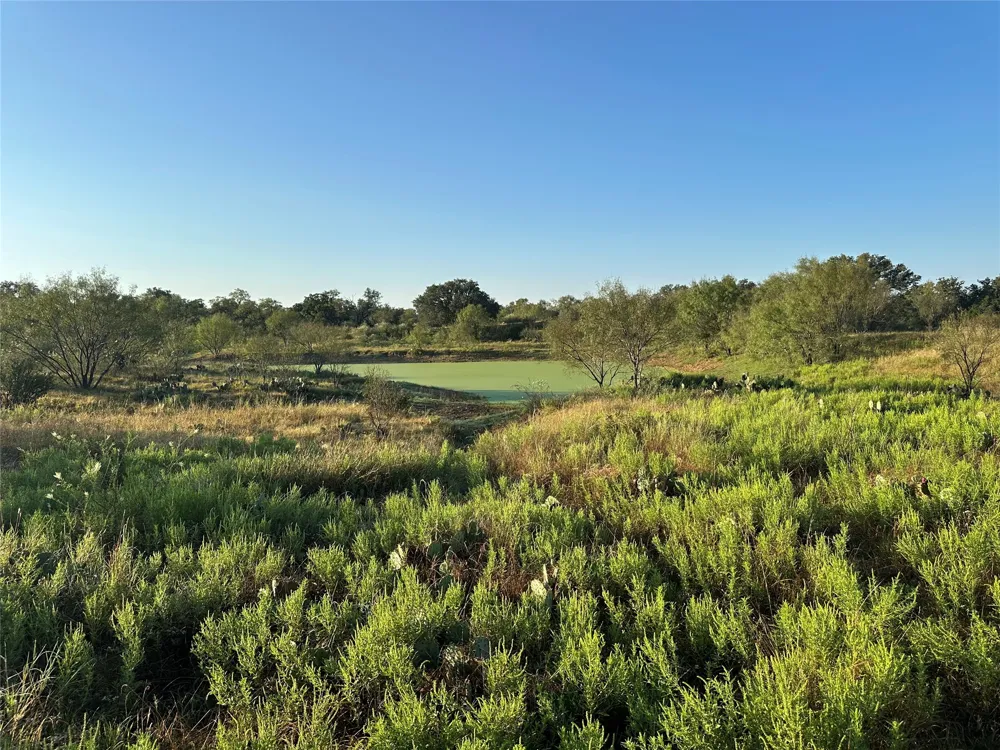 2976 Lower Willow Creek Road Mason, TX 76820