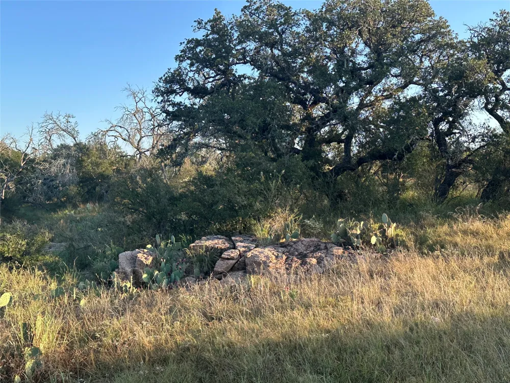 2976 Lower Willow Creek Road Mason, TX 76820