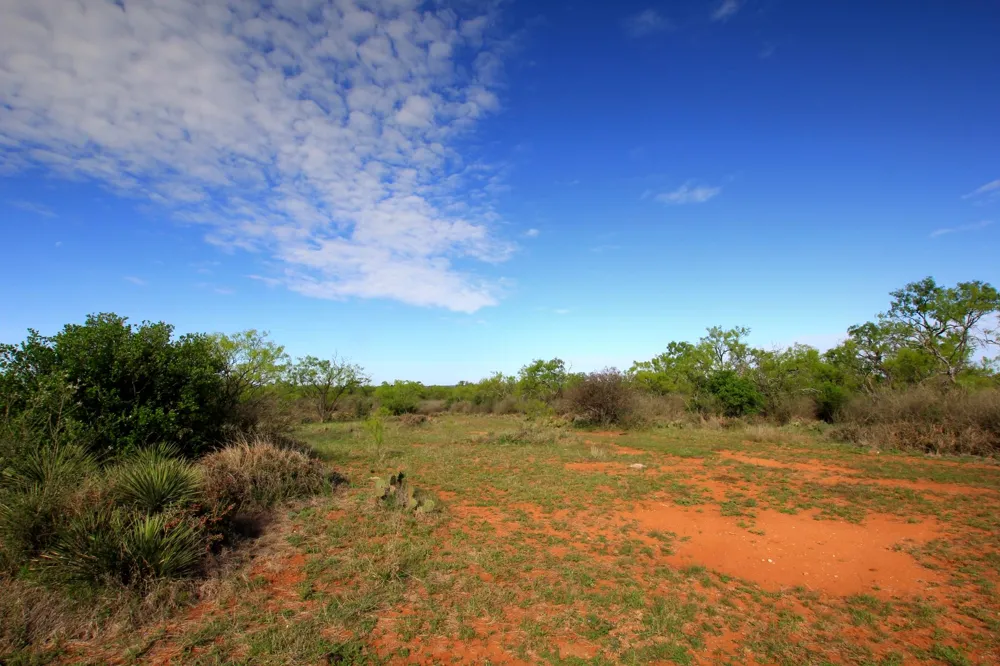 2976 Lower Willow Creek Road Mason, TX 76820