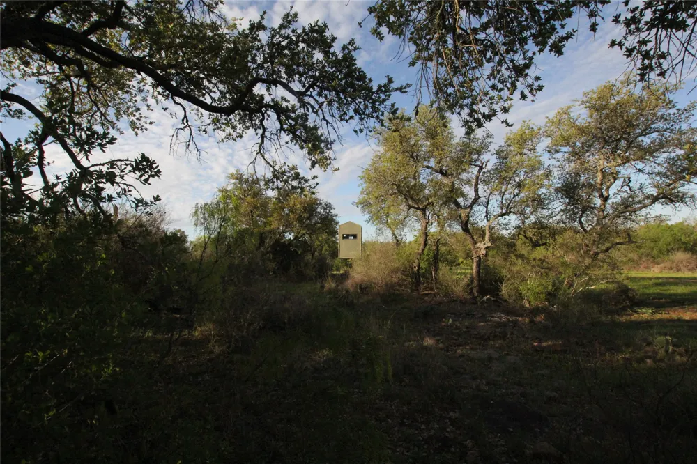 2976 Lower Willow Creek Road Mason, TX 76820