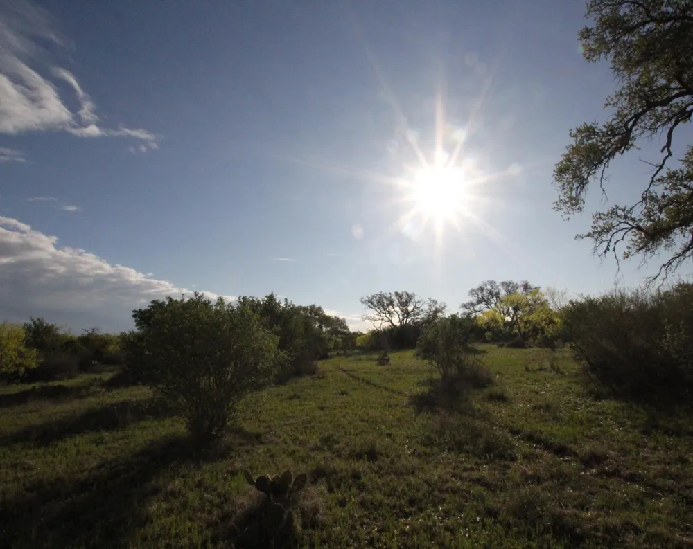 2976 Lower Willow Creek Road Mason, TX 76820