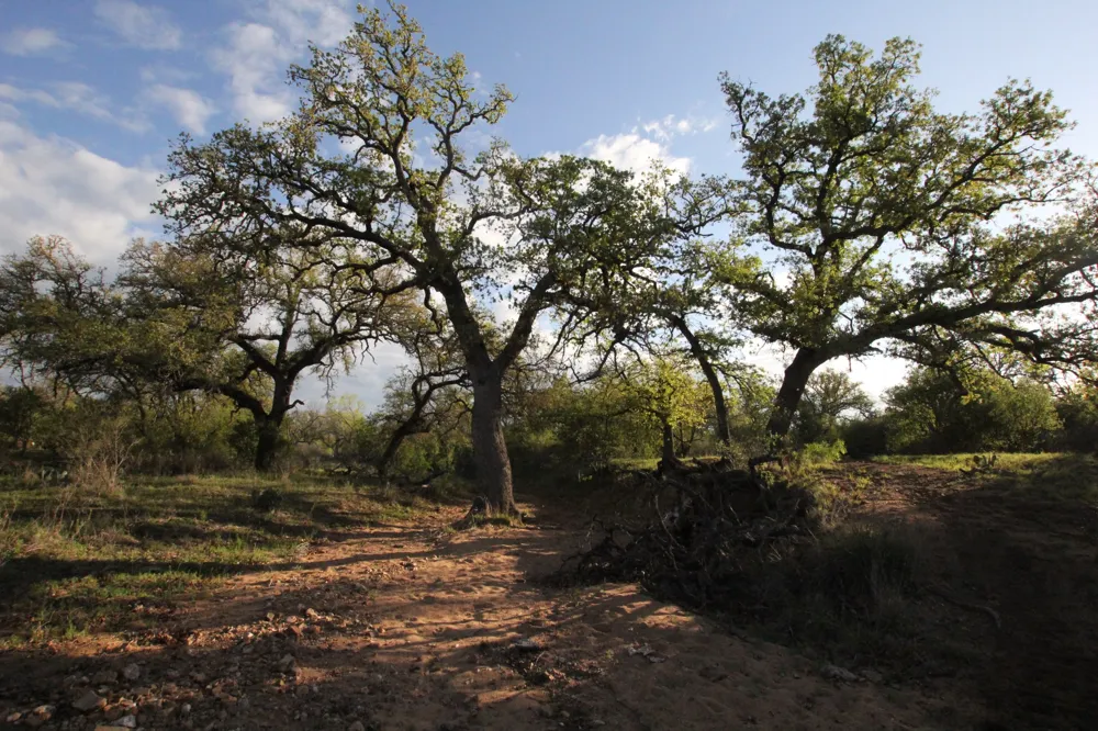 2976 Lower Willow Creek Road Mason, TX 76820