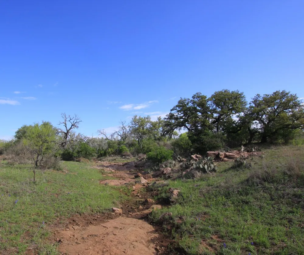 2976 Lower Willow Creek Road Mason, TX 76820