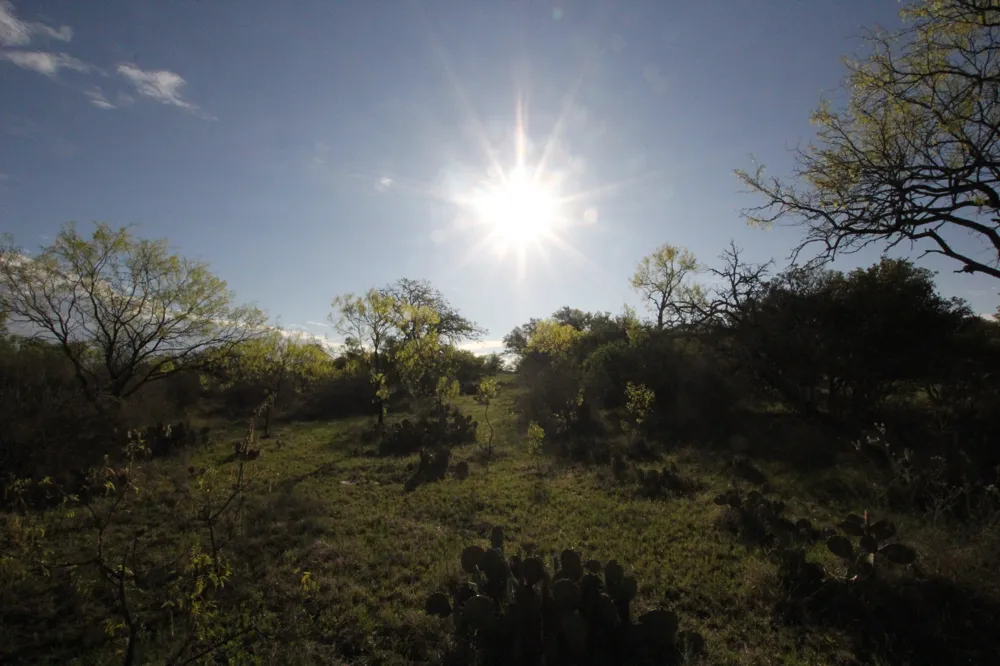 2976 Lower Willow Creek Road Mason, TX 76820