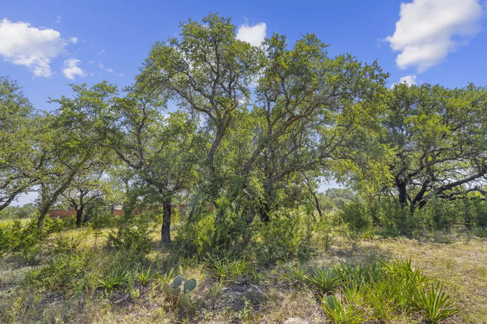170 Heartleaf Drive Lampasas, TX 76550
