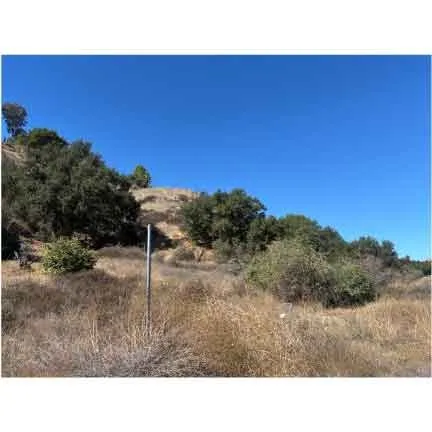 San Martinez/Madison