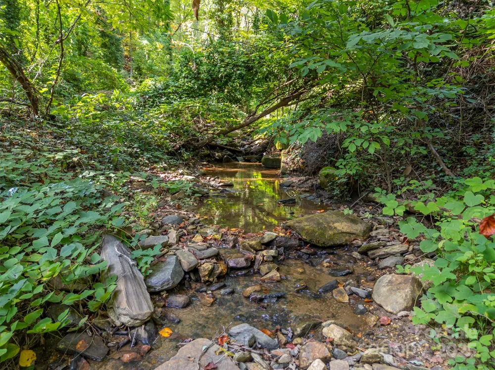 160 Lasae Lane Tryon, NC 28782