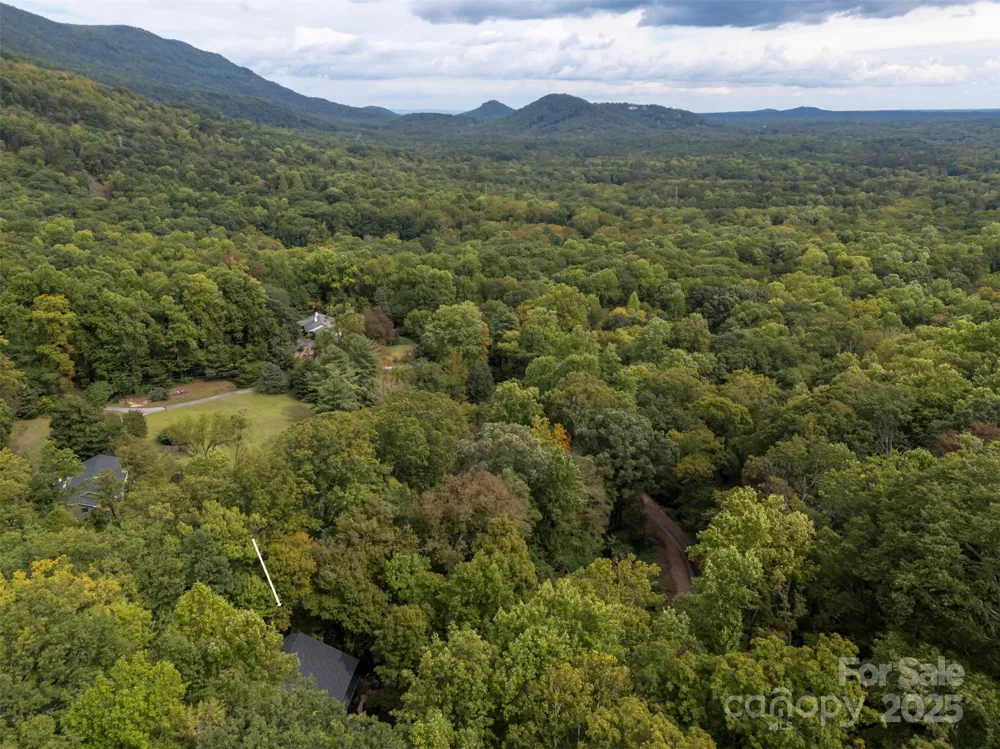 160 Lasae Lane Tryon, NC 28782