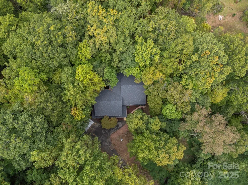 160 Lasae Lane Tryon, NC 28782