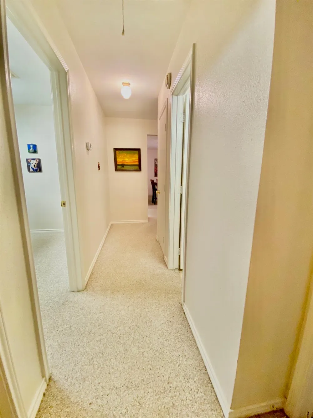 116 Lakeview Drive Drive Grapeland, TX 75844