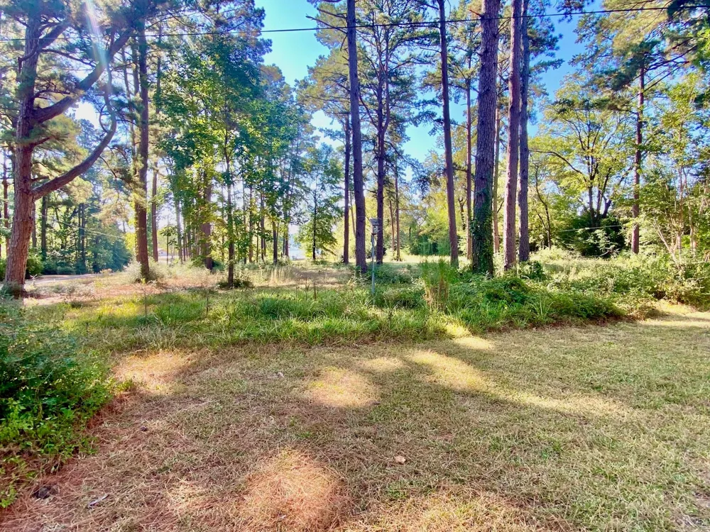 116 Lakeview Drive Drive Grapeland, TX 75844