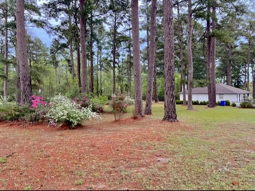 116 Lakeview Drive Drive Grapeland, TX 75844