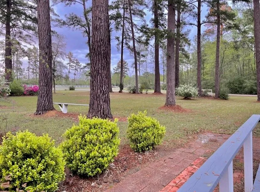 116 Lakeview Drive Drive Grapeland, TX 75844