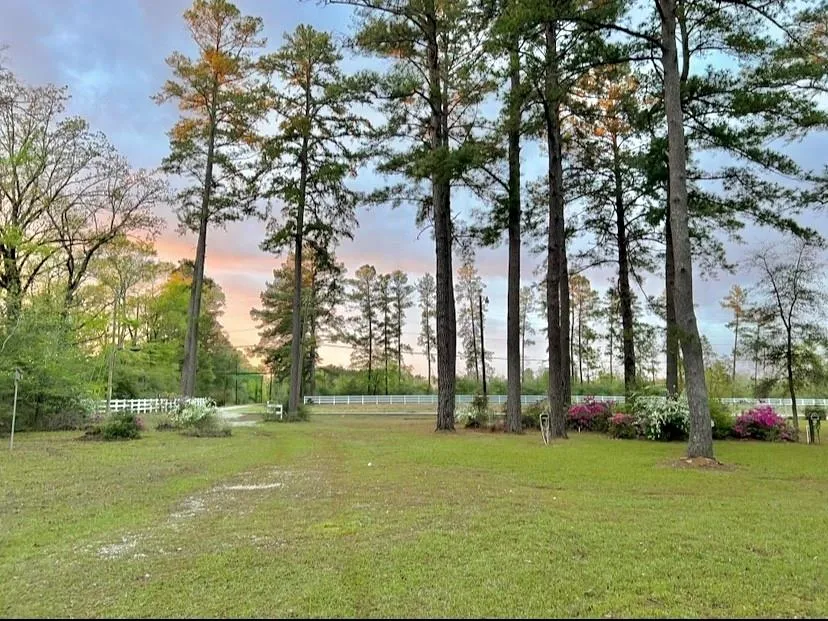 116 Lakeview Drive Drive Grapeland, TX 75844