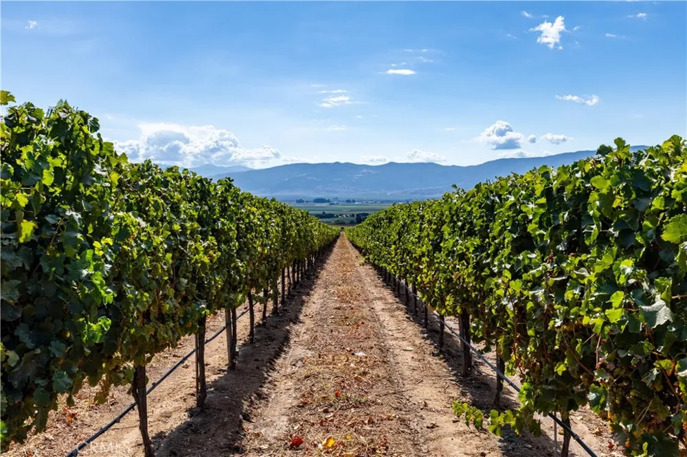 35095 Metz Road Soledad, CA 93960