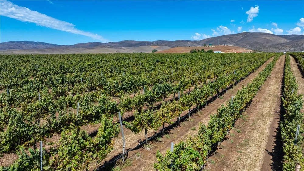 35095 Metz Road Soledad, CA 93960